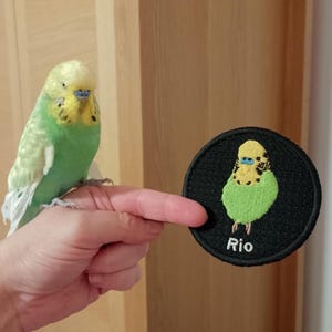 BUDGIE-PATCHES. GEPERSONALISEERD of zonder personalisatie. Naai vast