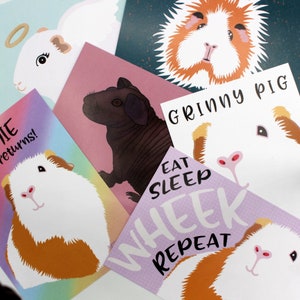 MEERSCHWEINCHEN ART Original Drucke Blank Postkarte (A6) Größe