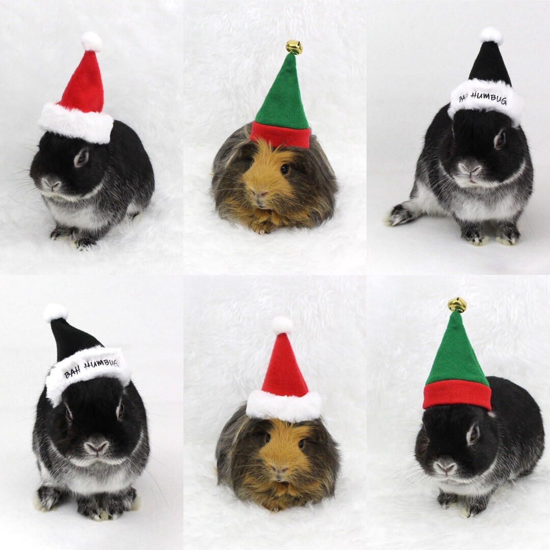 SANTA and ELF Mini HATS or Bah Humbug Hats for Toys or Guinea Pigs or ...