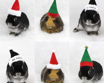 SANTA and ELF Mini HATS or Bah Humbug hats for toys or Guinea pigs or Rabbit