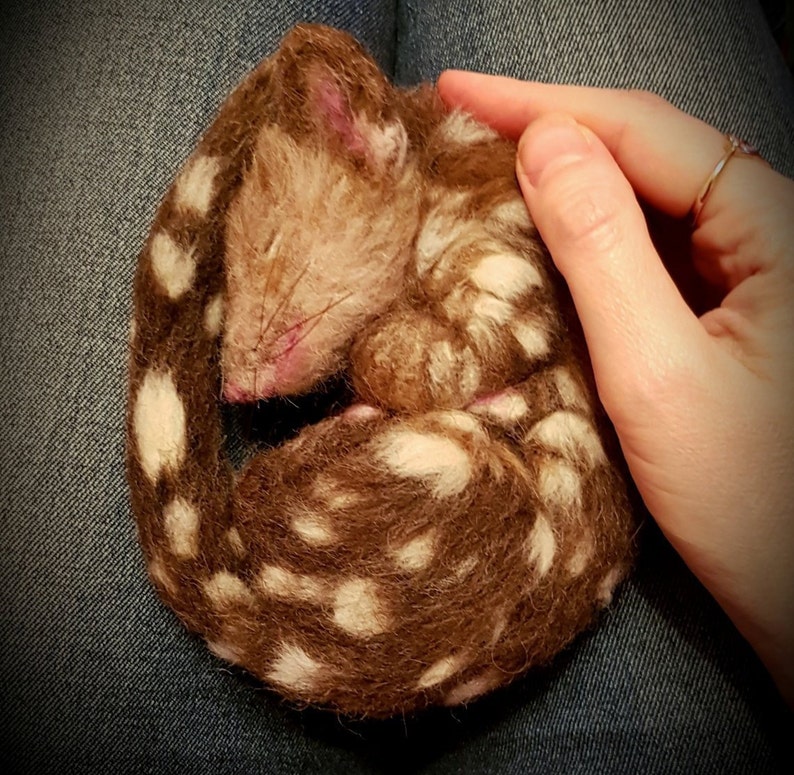 Needle felted baby Quoll made to order realistic sculpture