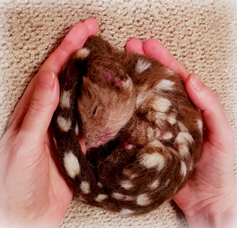 Needle felted baby Quoll made to order realistic sculpture