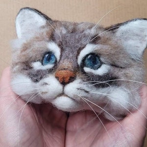 Needle felted tabby birman cat head sculpture image 3