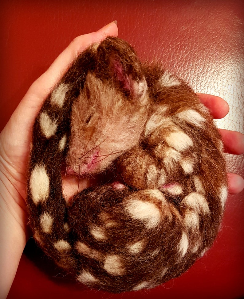 Needle felted baby Quoll made to order realistic sculpture