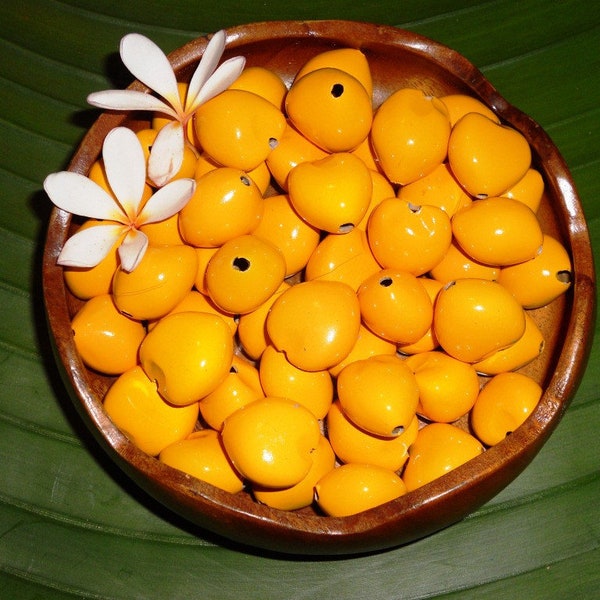 Loose Kukui Nuts  - Green, White, or Yellow - 50 nuts per order