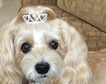 dog crowns and tiaras