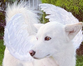 Halloween Angel wings for dogs red black or white or pink dog costume feather FREE SHIPPING Medium Large dogs