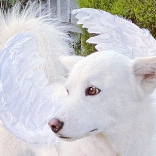 White Angel Wings Costume for Pets Dogs Cats Christmas Etsy