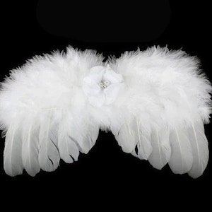 Halloween Angel wings for dogs pink purple red green white dog costume feather fit 5lb - 25lb