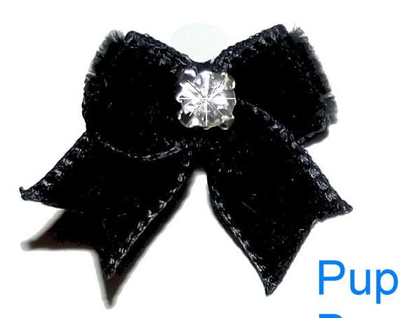 Puppy Bows ~ Wee Tiny black velvet dog show bow pair Maltese double topknot hair