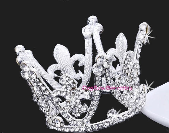 Puppy Bows ~ STUNNING fleur de lis 3D silver full round tiara for dogs pet hair crown beauty pageant style barrette (fbg2)