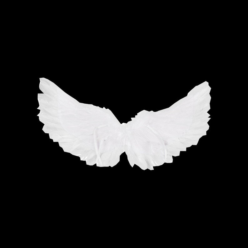 Halloween Angel wings for dogs white or black dog costume feather FREE SHIPPING Large dogs White