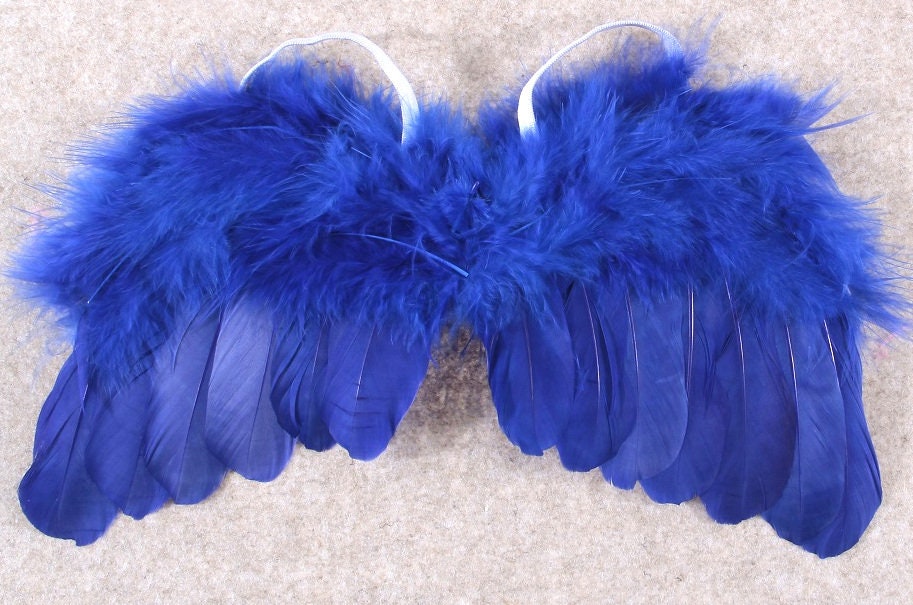 Halloween royal blue angel wings dog costume feather FREE SHIPPING fit