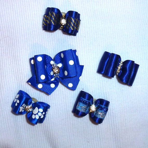 Puppy Bows ~Blue bows for boys 5 show bows dog bow pet hair clip barrette or latex bands (sb1)