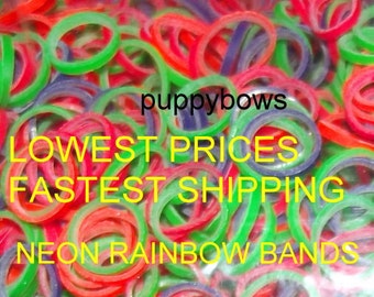 Puppy Bows ~ NEON rainbow Dog Grooming Bands ~SMALL quantity bags elastic dog bows bow TOPKNOT band ~Usa seller