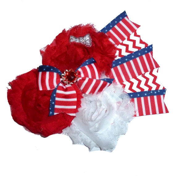 MONTHLY SPECIAL ~ 50% off  4th of July Patriotic  fan slide dog flower collar slide accessory  (DC35)