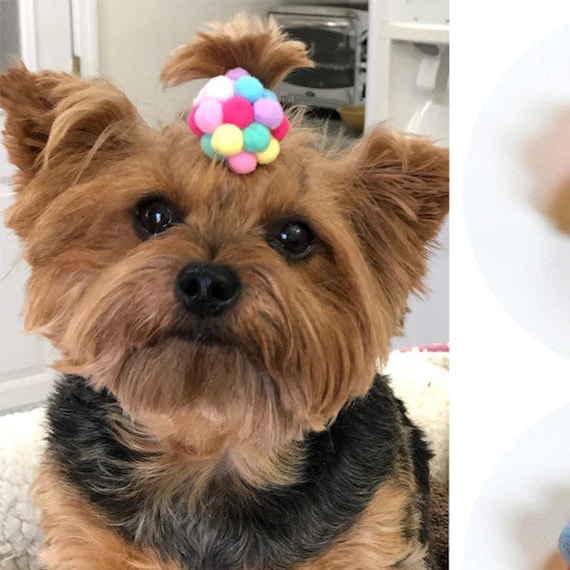 Puppy Bows ~ Multi color pom pom topknot ponytail dog hair bow