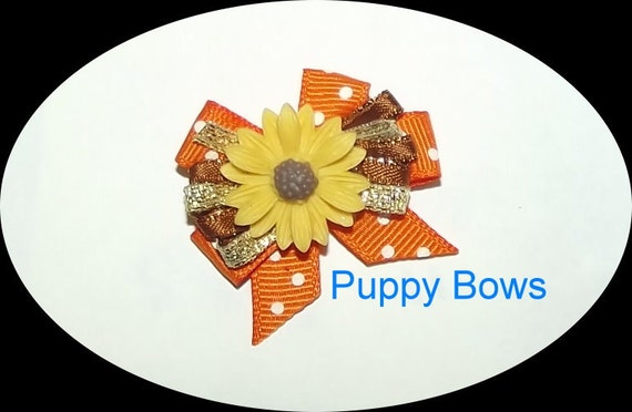 Puppy Bows ~Orange yellow SUNFLOWER wild loop dog bow pet bands, hair clip or barrette (fb123a)