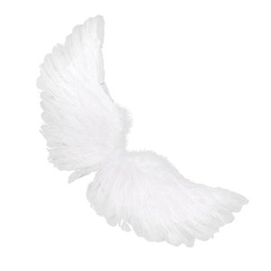 Halloween Angel wings for dogs white or black dog costume feather FREE SHIPPING Large dogs image 3