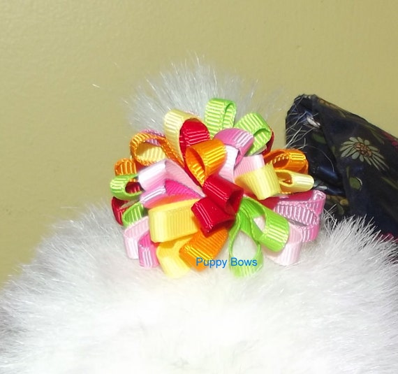 Puppy Dog Bows ~ Multi color LOOPY PUFFS Yorkie round pet hair bow barrettes or bands