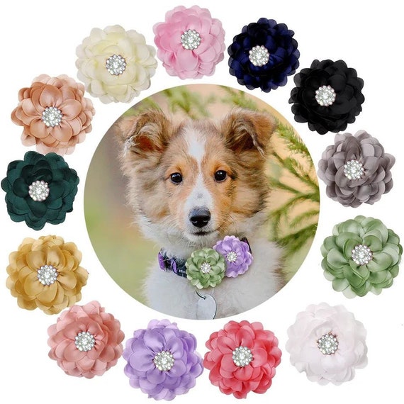 Puppy Bows ~ 1 for 3.50 2 for 5.50  lotus flower 3" hair bowknot bow bands or barrette  (fb523)