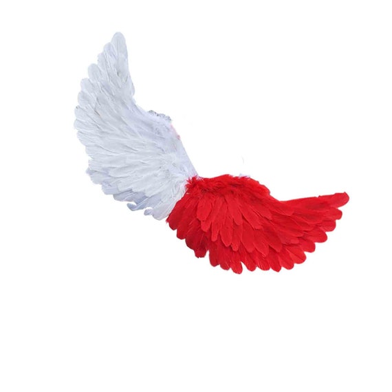 Halloween Angel wings for dogs  Angel Devil costume feather FREE SHIPPING  Large dogs