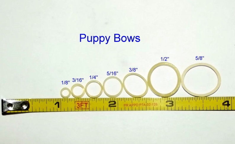 Puppy Bows ~ Neon non latex CHICKEN leg bands CHICK craft Bands ~elastic band ~USA seller