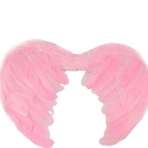 Halloween Angel wings for dogs red black or white or pink dog costume feather FREE SHIPPING Medium Large dogs Pink wings 17x12