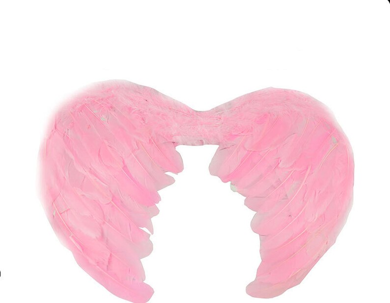 Halloween Angel wings for dogs red black or white or pink dog costume feather FREE SHIPPING Medium Large dogs Pink wings 17x12