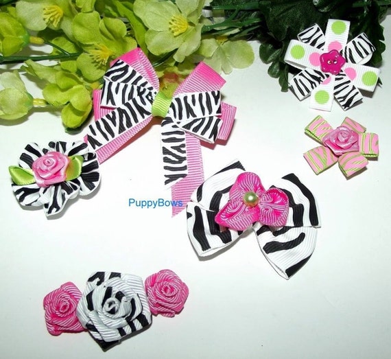 Puppy Bows ~ Hot pink black zebra for girls SIX barrette dog grooming hair bow (fb1)