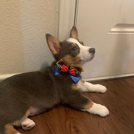 Woody hotsell dog collar