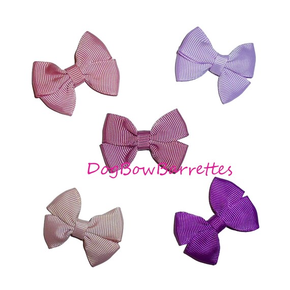 Puppy Bows set of  5 small dog SO MUCH PURPLE  hair bowknot bow bands or barrette  (brdr)