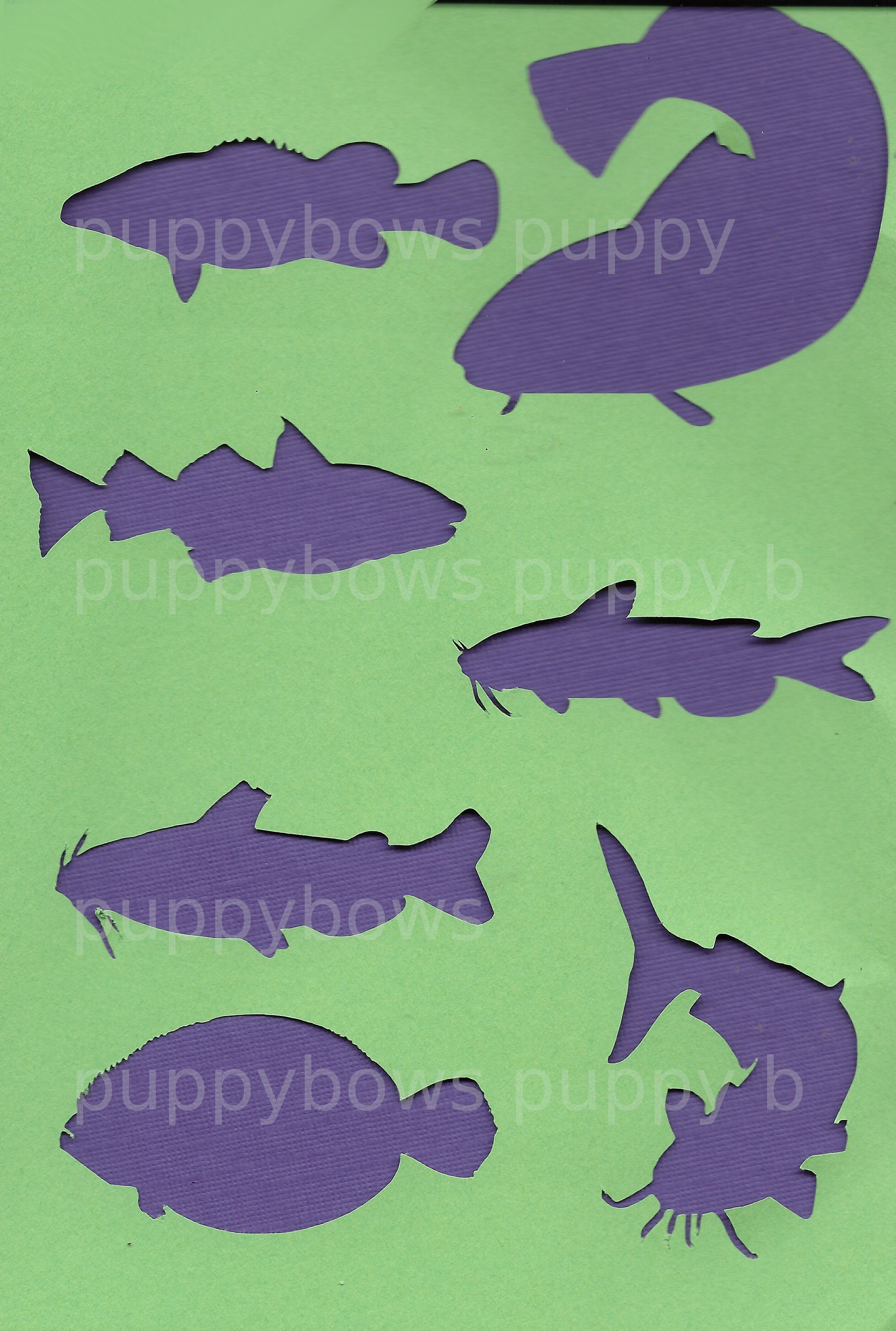 Catfish Haddock Cod flounder fish plastic craft stencil Etsy