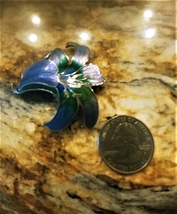 Cloisonne brooch shop