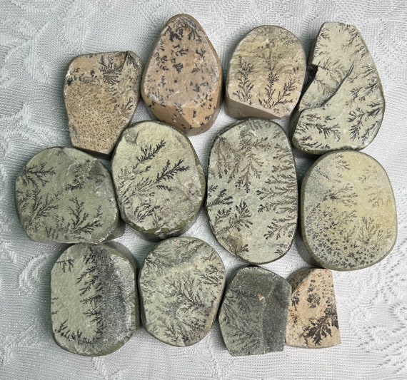 Utah Dendrites Palm Stone