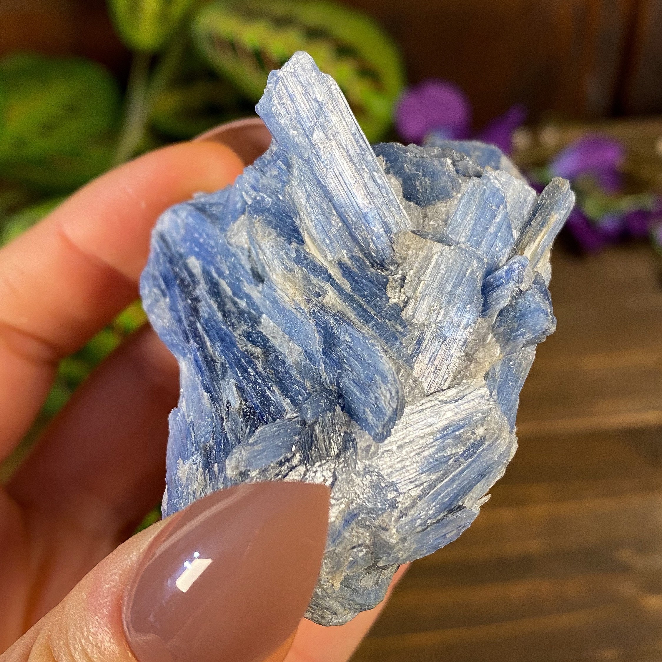 Blue Kyanite Specimen