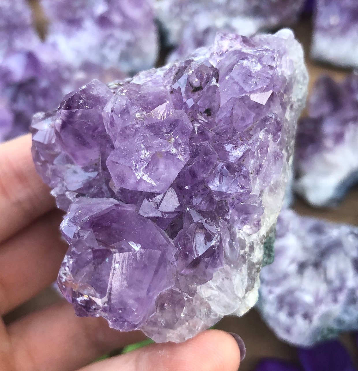 amethyst cluster amethyst cluster