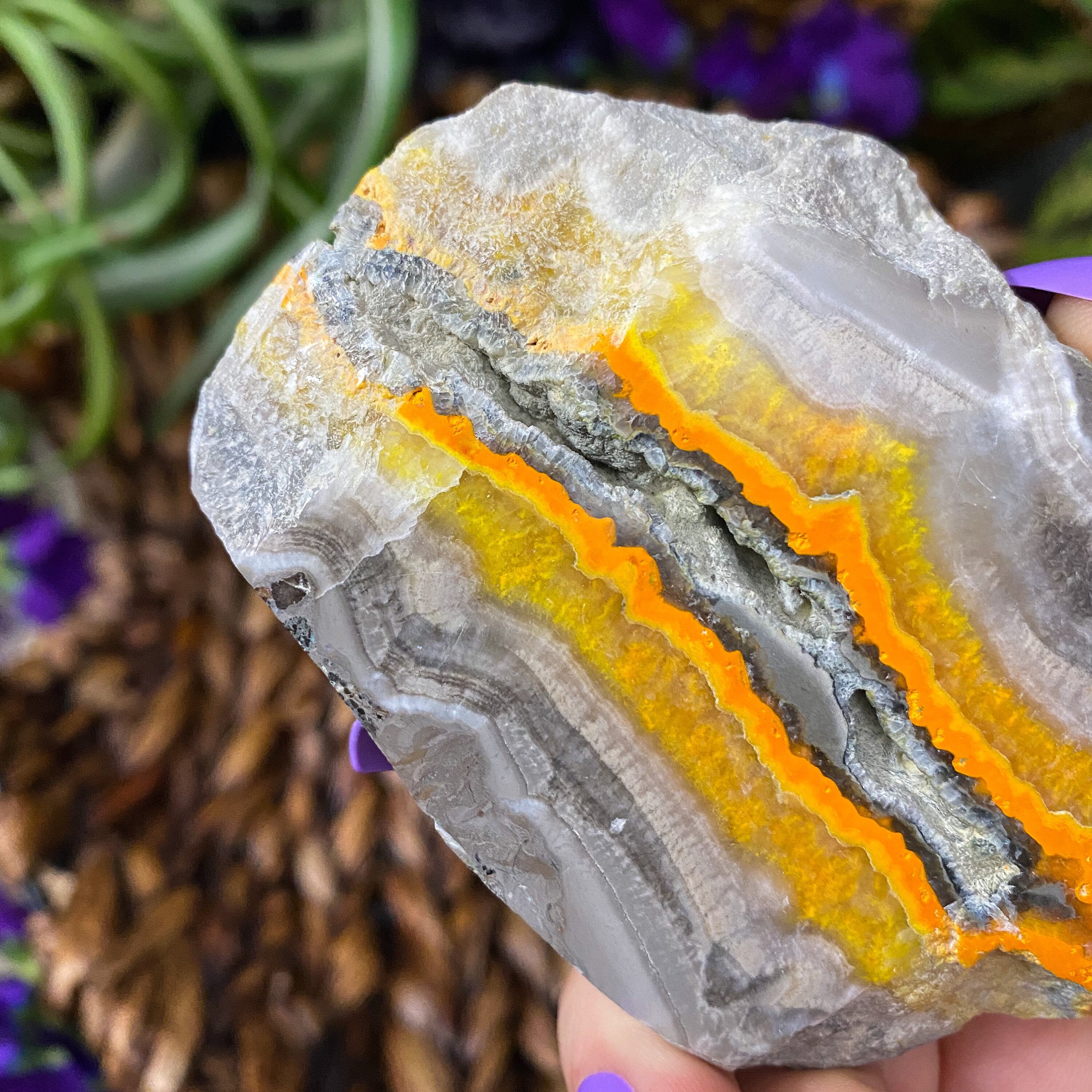 Bumble bee jasper coversdop