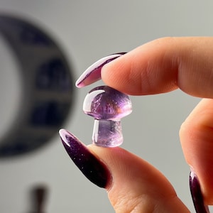 Mini Gem Amethyst Ametrine Mushrooms, Deep Purple