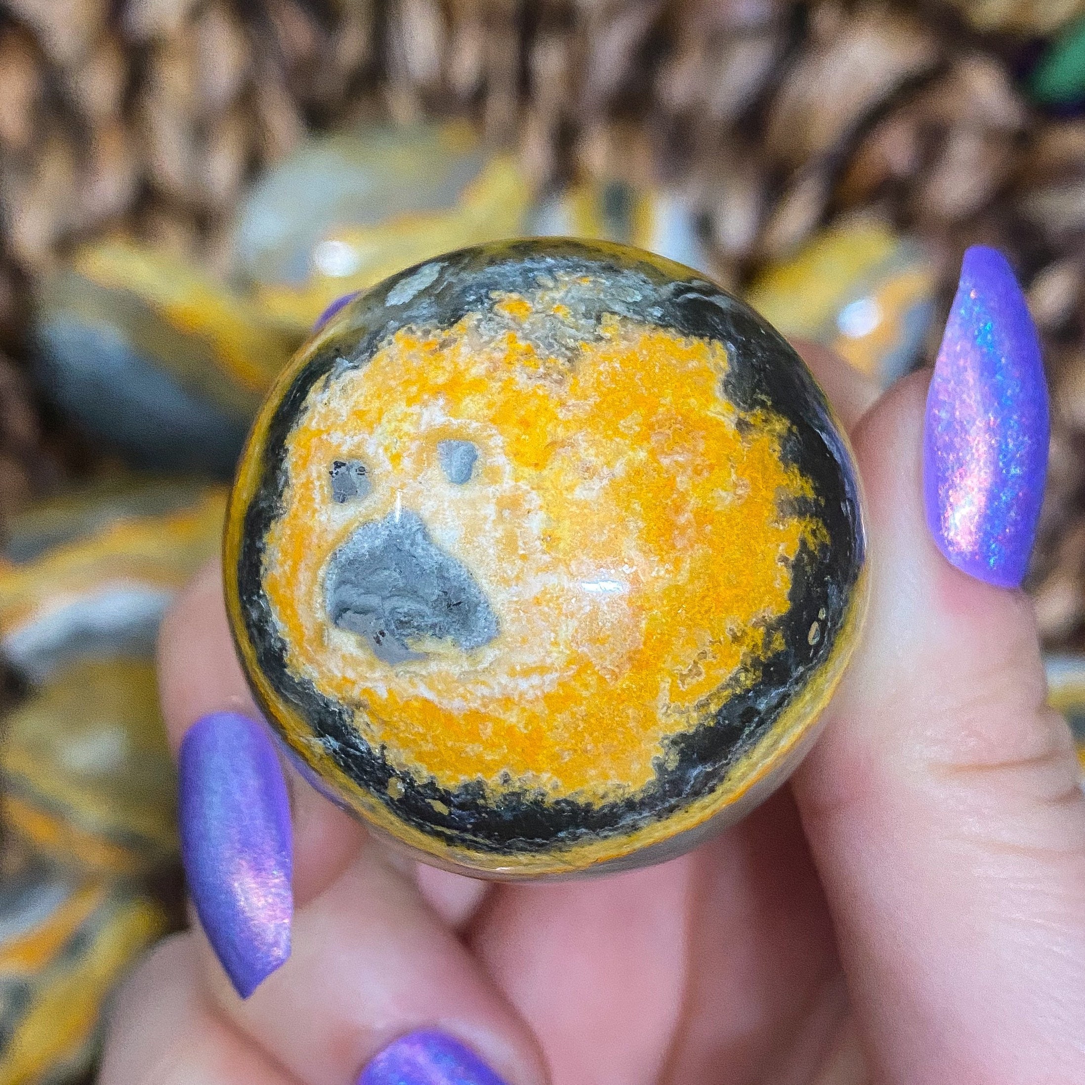 bumble bee jasper bumble bee jasper