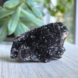 Puede incluir: Un espécimen mineral cristalino oscuro con una superficie rugosa y texturizada. El mineral es principalmente negro con facetas brillantes y reflectantes. Se ven toques de color beige claro y blanco en los bordes. El fondo presenta una planta suculenta borrosa.