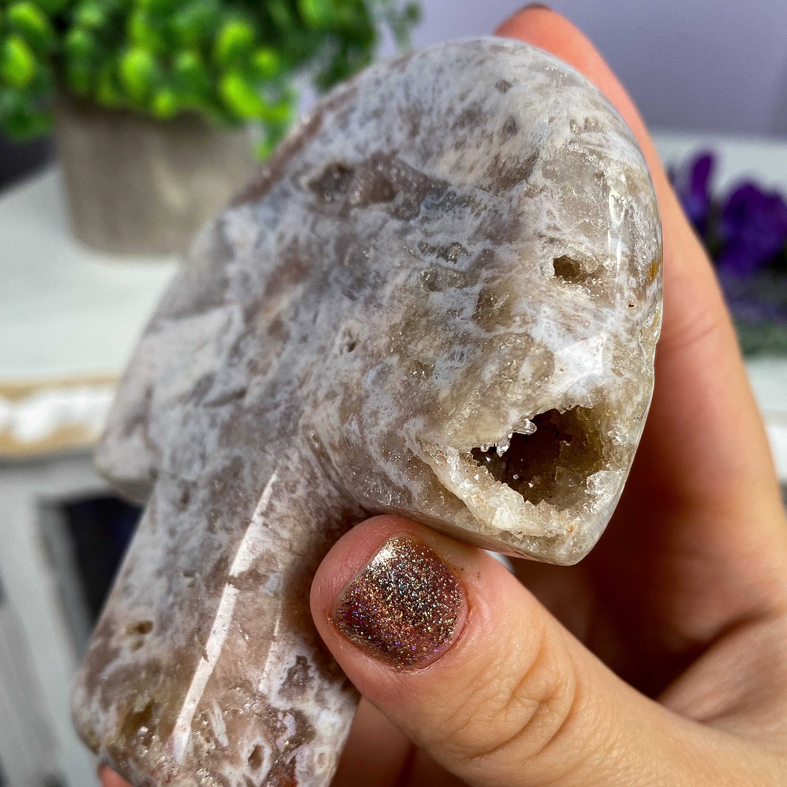 amethyst mushroom amethyst mushroom