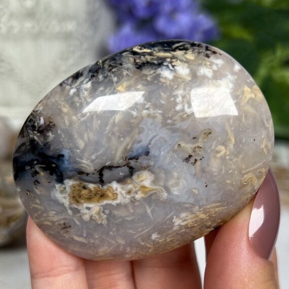 You Choose Tiger Dendritic Agate Palm Stones