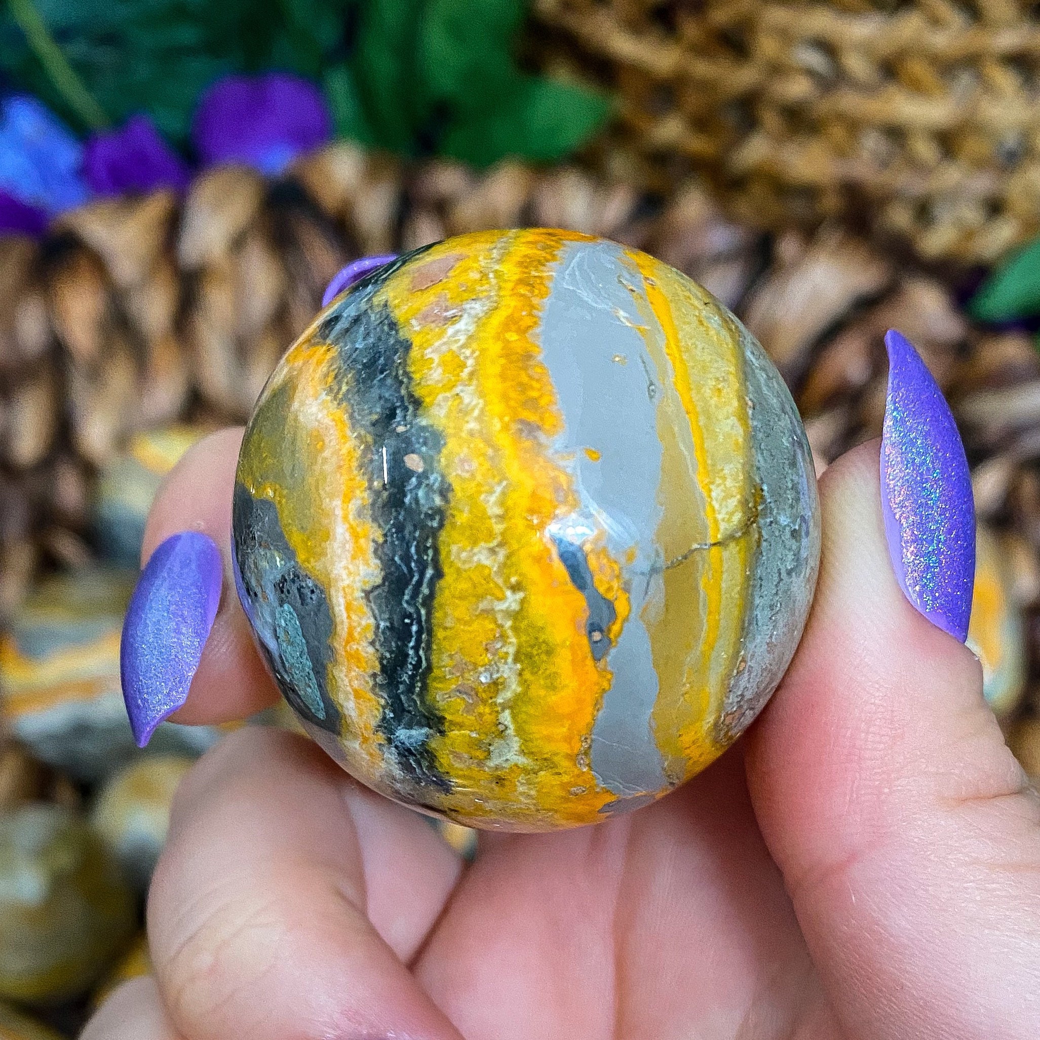 Bumble Bee Jasper Coversdop Bumble bee jasper coversdop