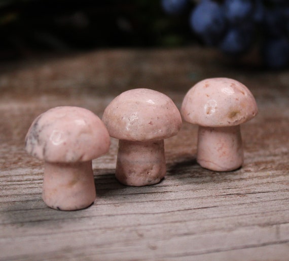 You Choose Pink Astorite Mushrooms
