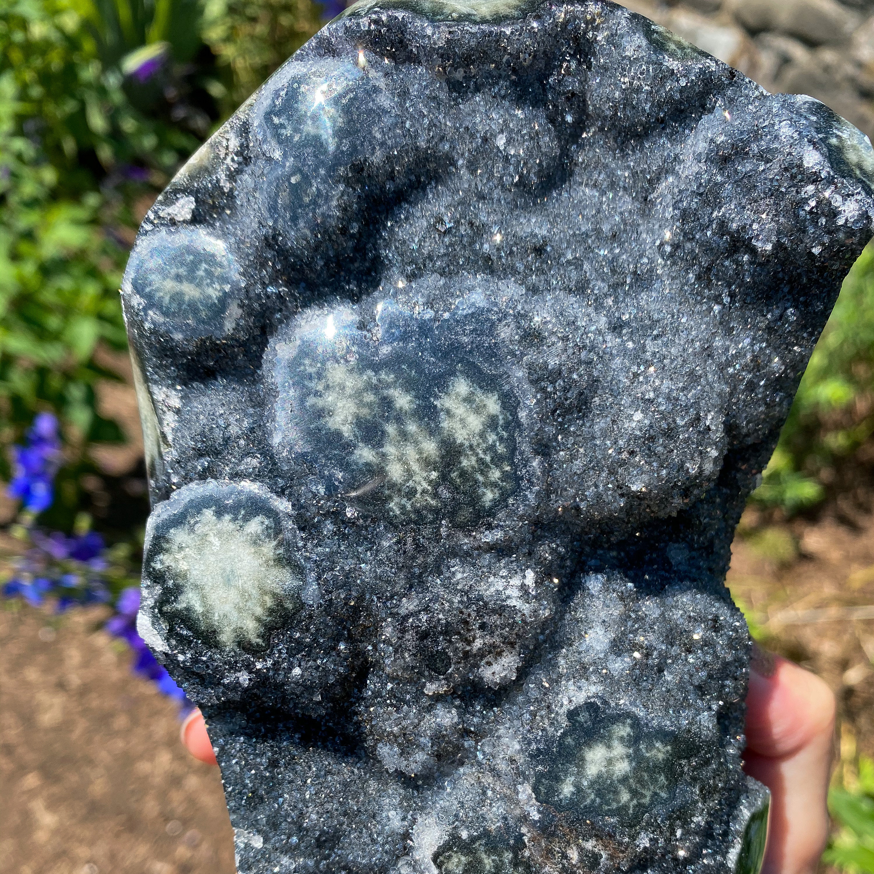 Druzy Black Amethyst Geode