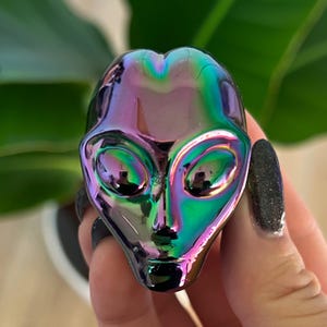May include: A metallic alien head sculpture with a rainbow iridescent finish. The sculpture features large oval eyes, a small nose, and a defined chin. The surface reflects shades of purple, green, and blue, creating a unique, otherworldly appearance.