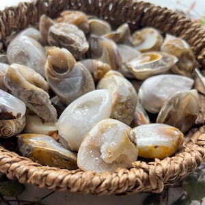 May include: A woven basket filled with a collection of polished agate stones. The stones display a variety of colors, including white, tan, and golden-brown hues. Some stones have a geode-like appearance with crystal-filled cavities.