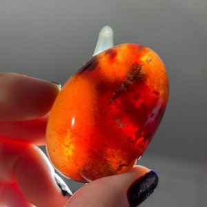 May include: A smooth, polished, red carnelian gemstone with a white, translucent point at the top. The carnelian has a natural, cloudy, orange-red colour with white inclusions.