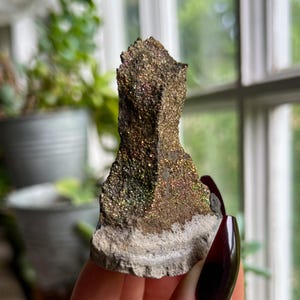 以下が含まれることがあります： 結晶構造を持つ天然の黄鉄鉱標本。上部は、金、ブロンズ、緑の色合いを持つ金属的な虹色の光沢を示しています。基部は、より明るい灰色の岩です。標本は手で持たれています。
